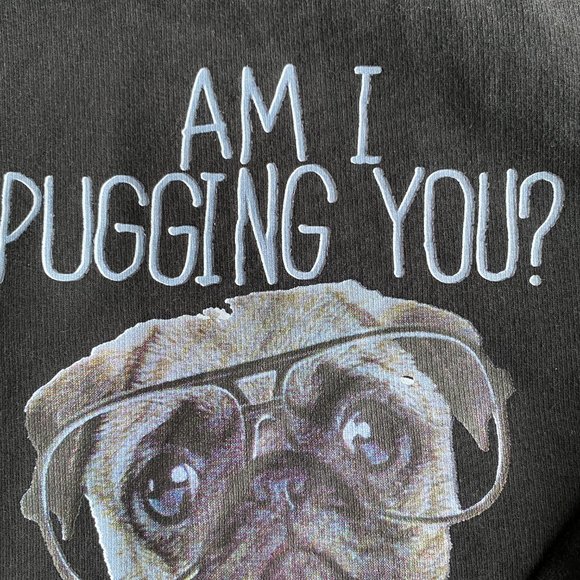Sweatshirt Hoodie With Pug Dog Graphic Am I Pugging You? - Picture 14 of 15